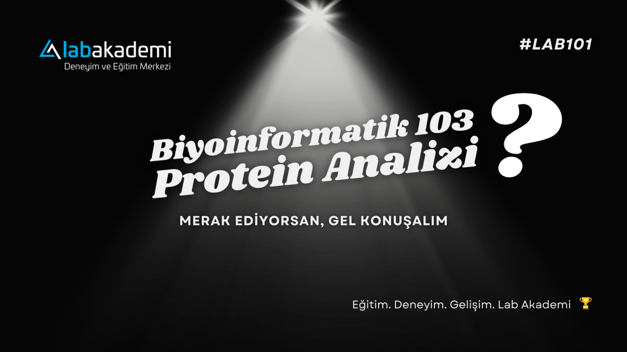 Biyoinformatik 103: Protein Analizleri