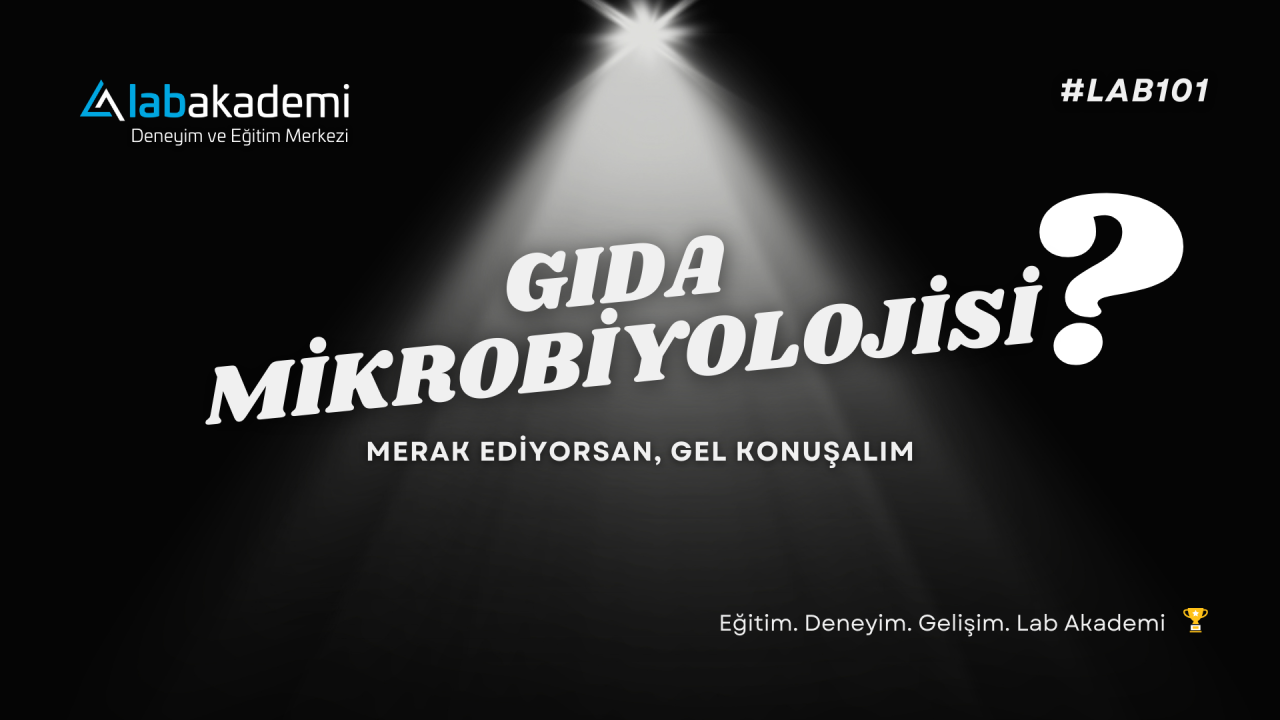 Lab 101: Gıda Mikrobiyolojisi Temelleri ve Kariyer Stratejileri