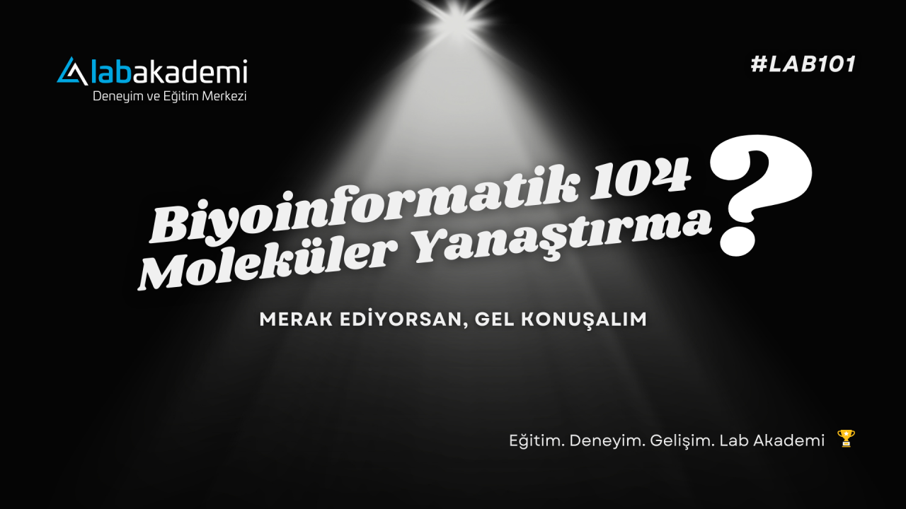 Biyoinformatik 104: Moleküler Yanaştırma (Docking) Yöntemleri